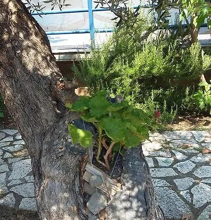 Holiday Tolofona Beach Eratini Exterior photo
