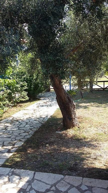 Apartment Tolofona Erateini