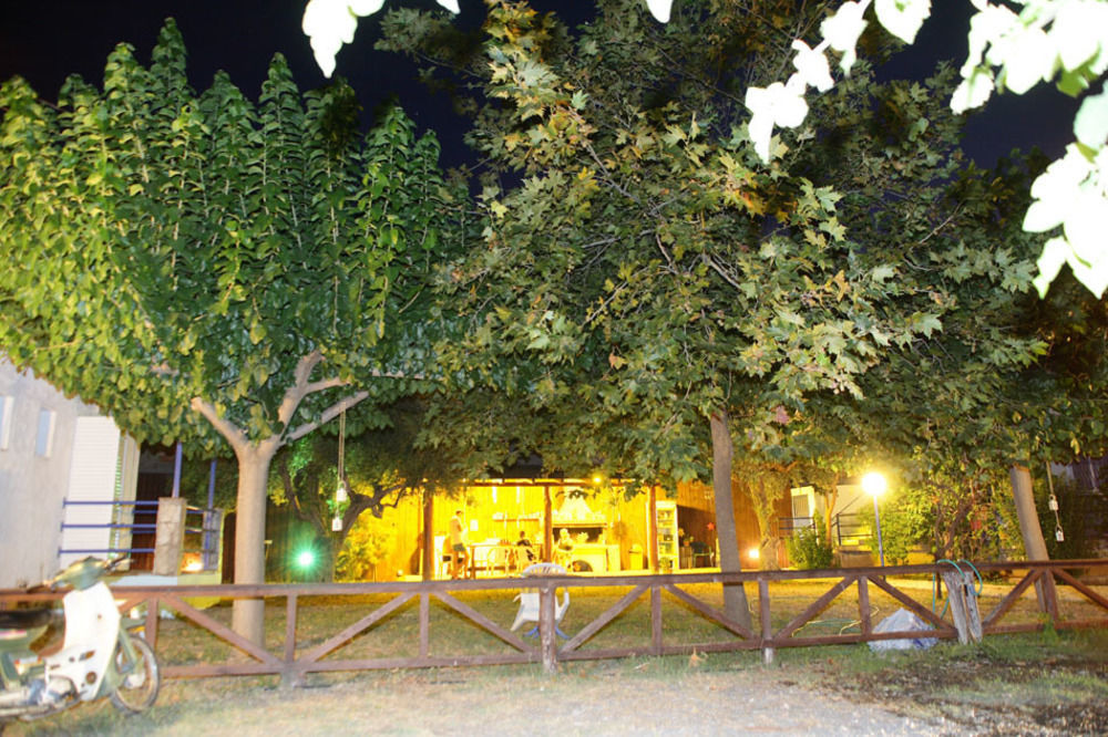 Tolofona Erateini