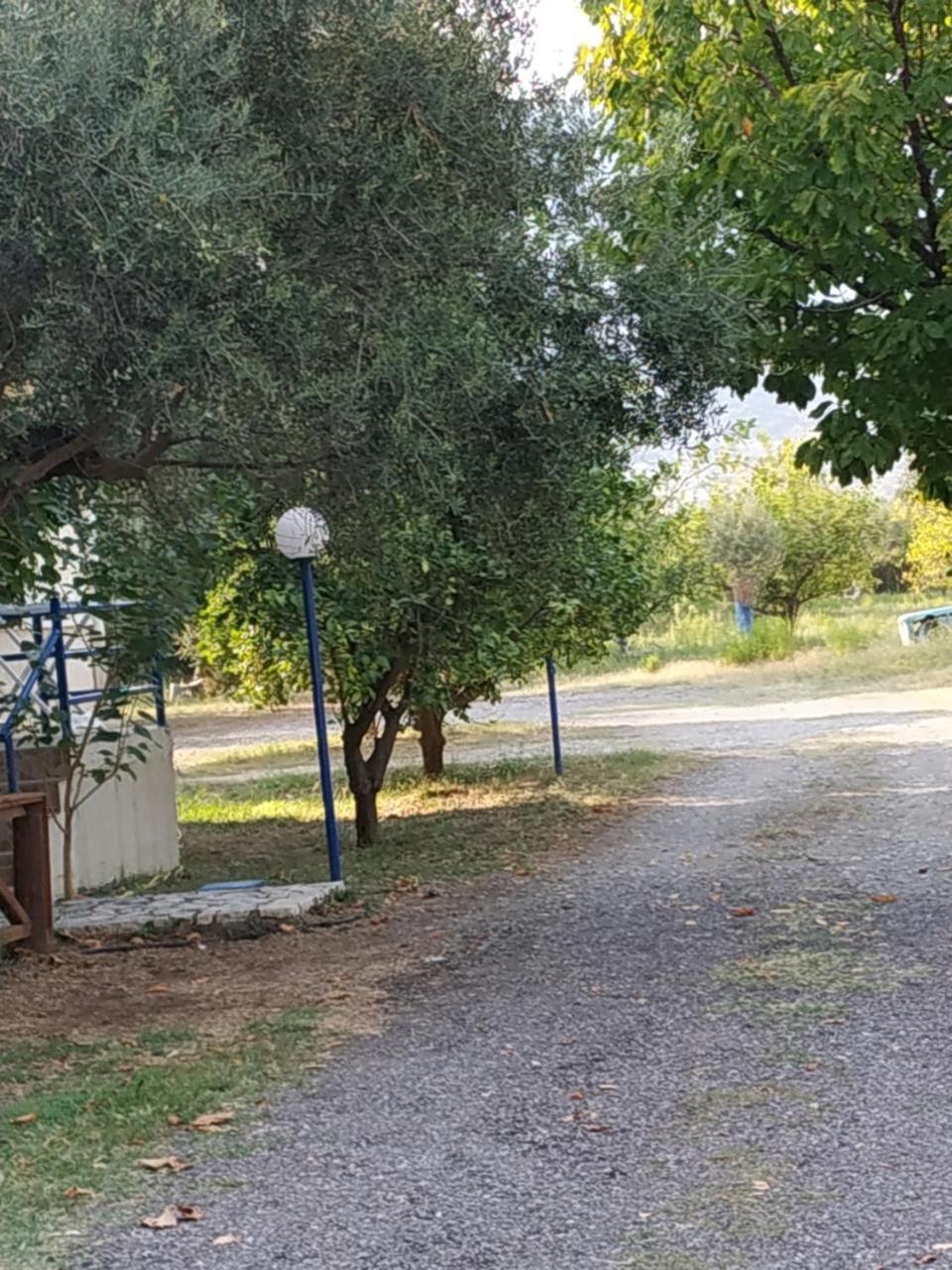 Apartment Tolofona Erateini