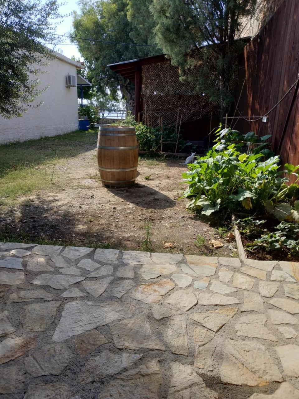 Apartment Holiday Tolofona Eratini